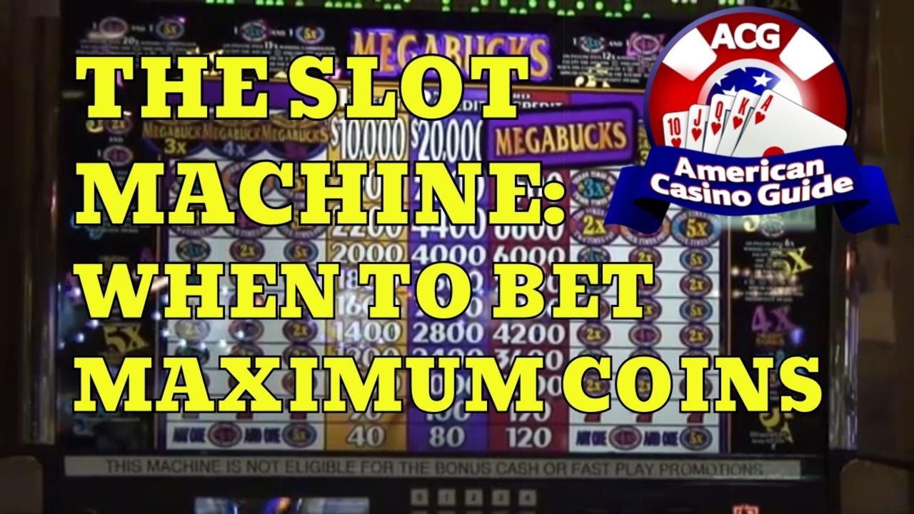 $830 Codzienny freeroll w kasynie Ruby Fortune